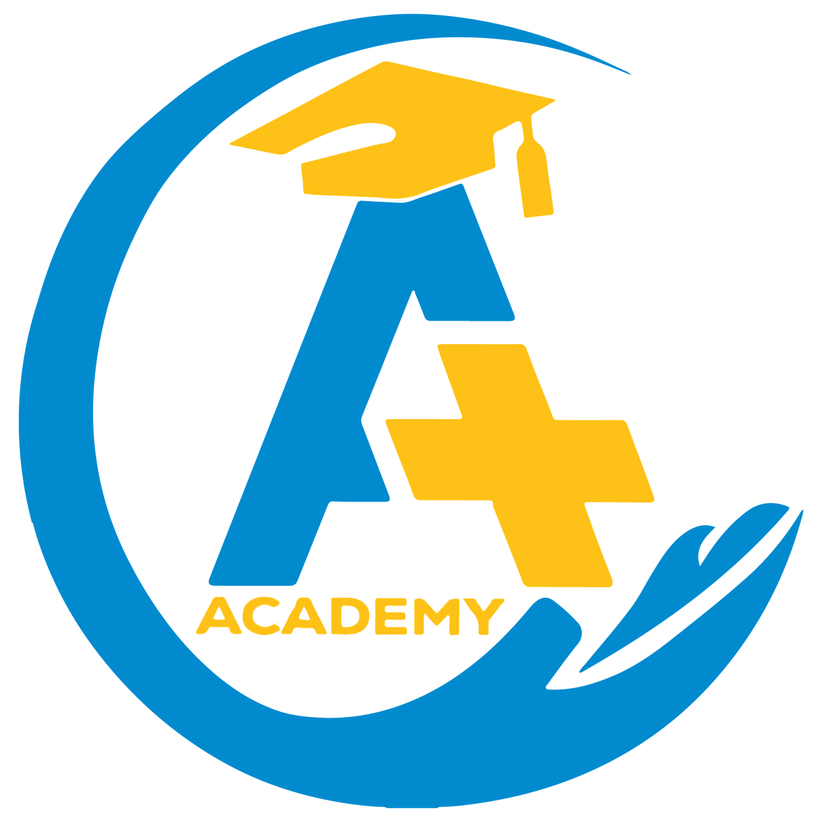 Secondary School – A+ Academy